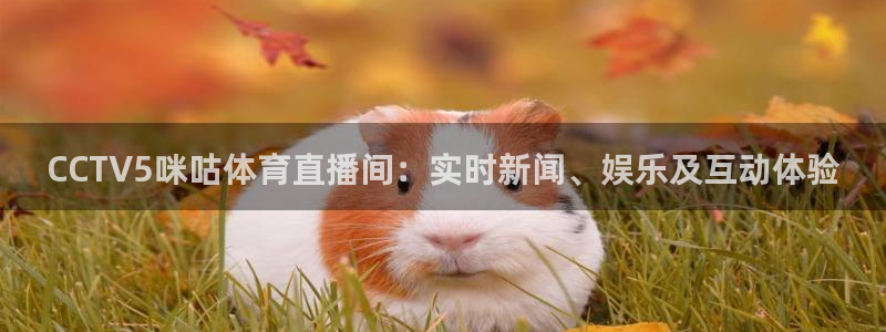 CCTV5咪咕体育直播间：实时新闻、娱乐及互动体验