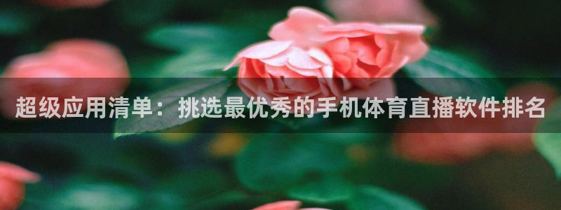 超级应用清单：挑选最优秀的手机体育直播软件排名